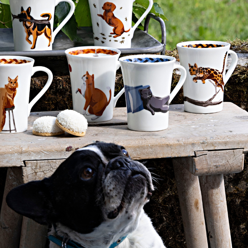 Tazze Rosenthal con illustrazioni di gatti, ambientate all’aperto – cane curioso in primo piano.