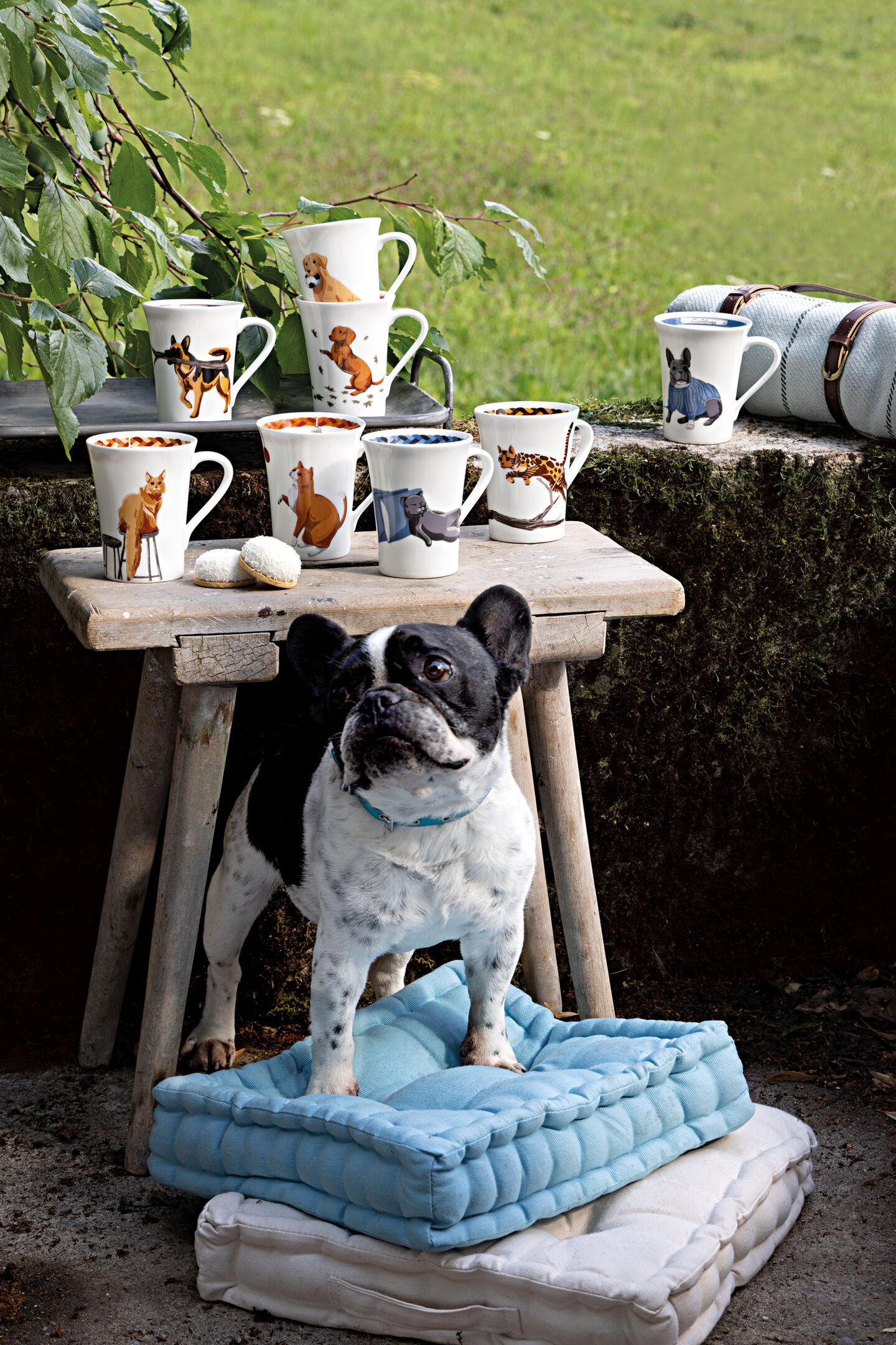 Hund mit acht Hutschenreuther Henkelbechern der My Mug Collection im Hintergrund 
