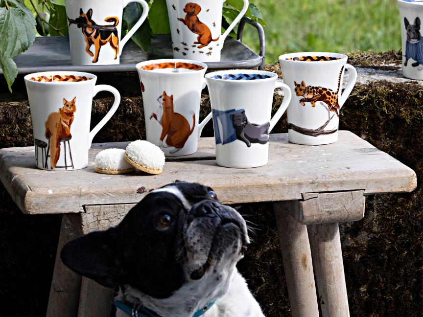 Rosenthal animal mugs with charming cat illustrations, styled outdoors – curious dog in the foreground.
